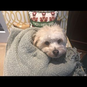 Meet your Posher, Marirose